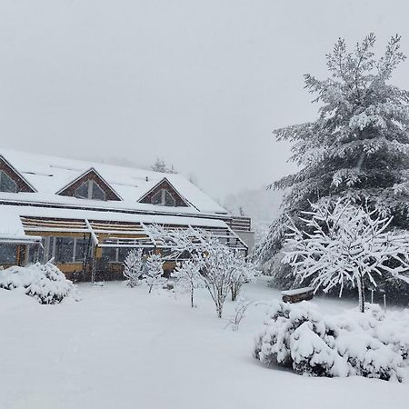 Apartments Vita Center Rogaška Slatina Dış mekan fotoğraf