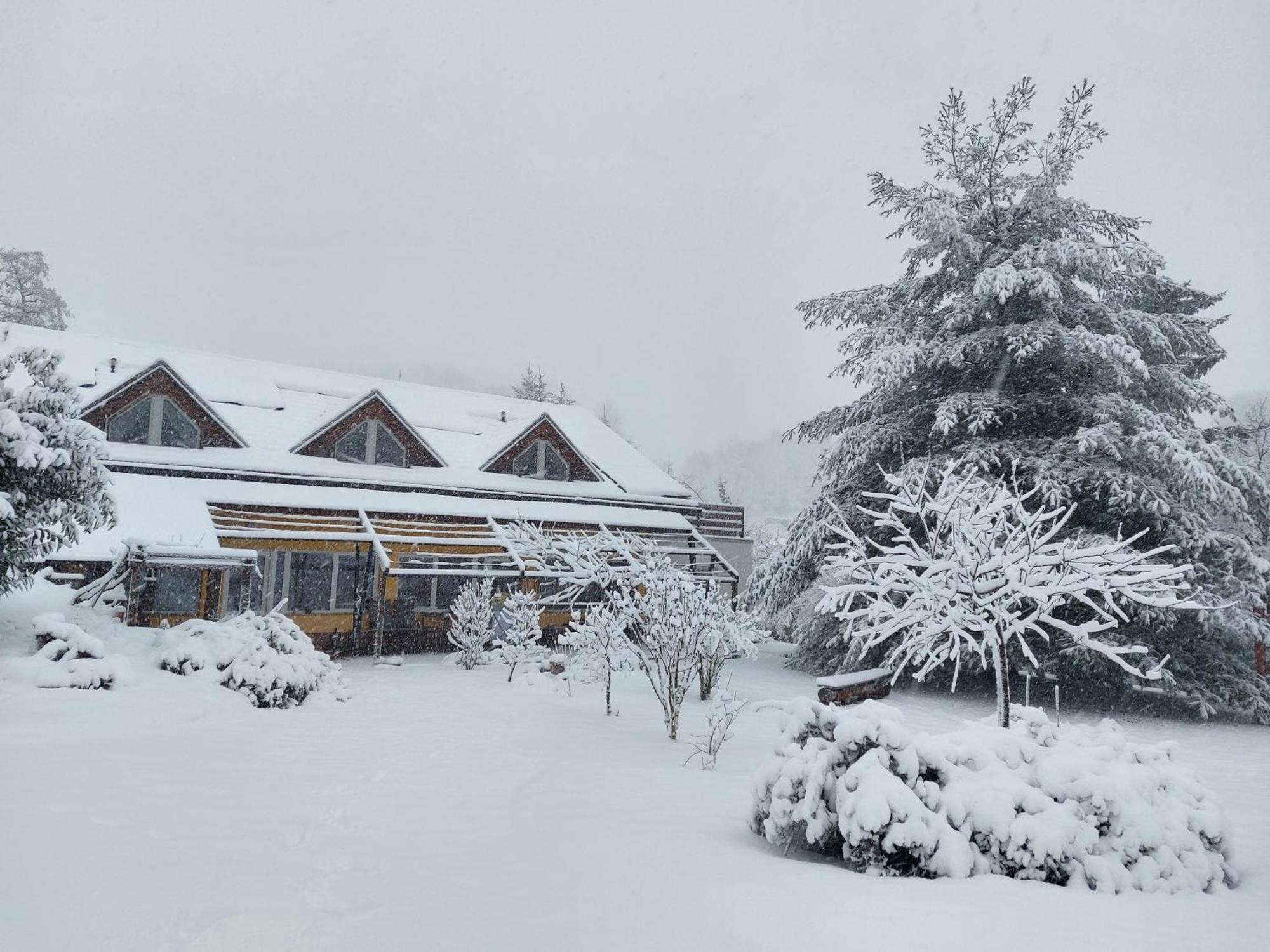 Apartments Vita Center Rogaška Slatina Dış mekan fotoğraf